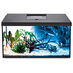 Аквариум Aquael Leddy Day & Night 60 черный